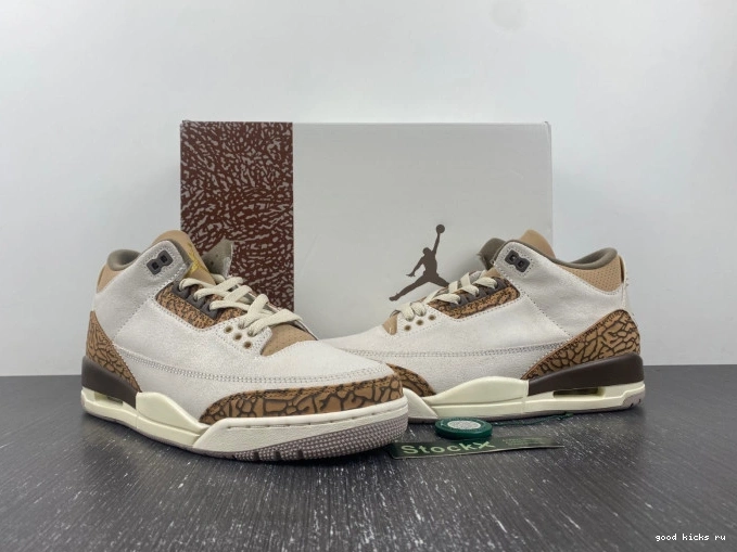 Palomino 3 Air CT8532-102 Jordan 0706